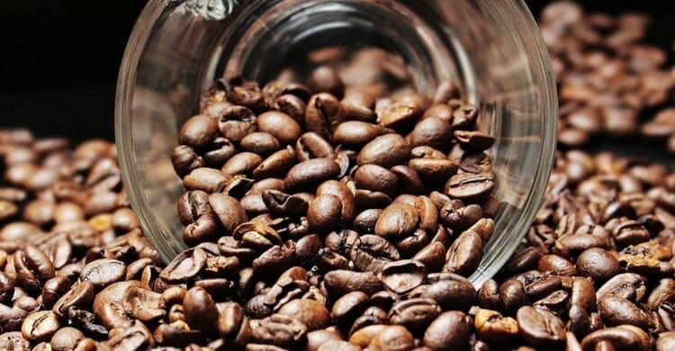 Beneficios del café para el organismo